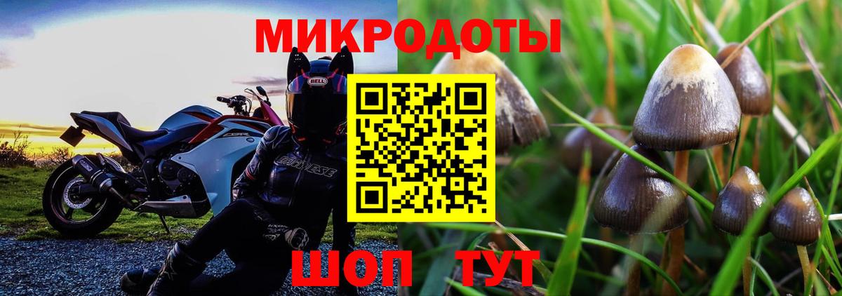 Галлюциногенные грибы Psilocybe  Вход с VPN  наркошоп  Сердобск  Галлюциногенные грибы Magic Shrooms 
